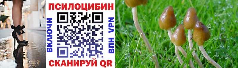 Псилоцибиновые грибы ЛСД  Бугуруслан 